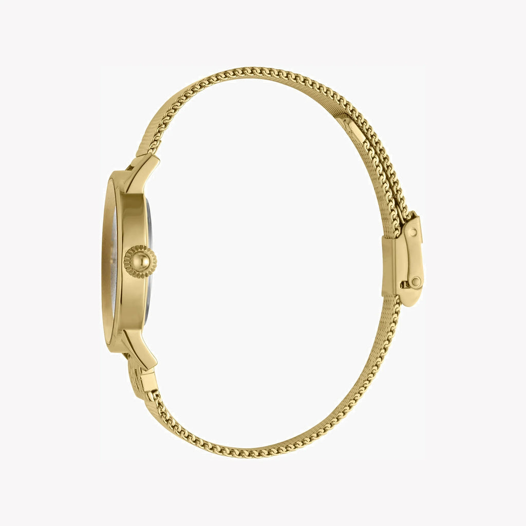 Just Cavalli Women's Watch JC1L078M0065