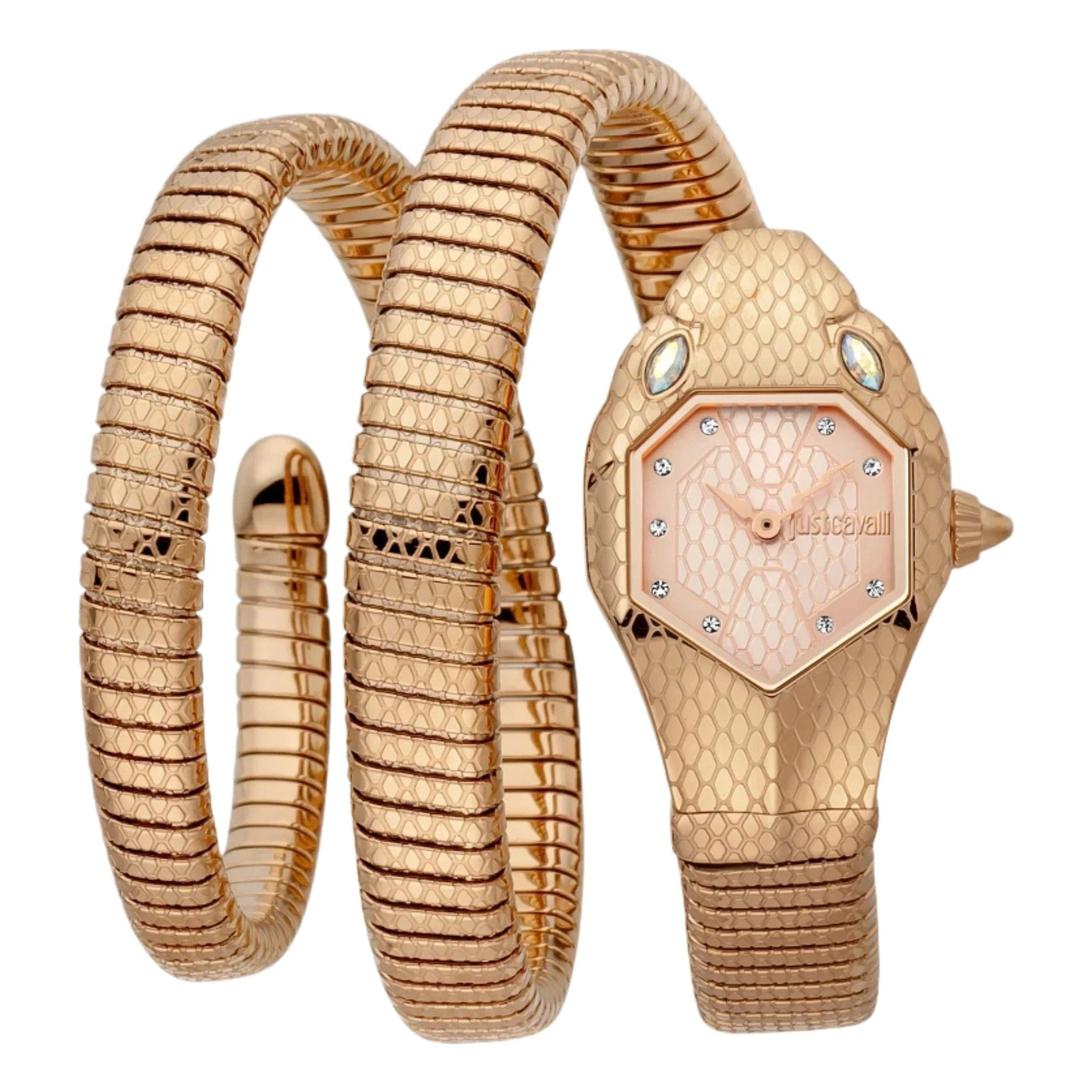 Just Cavalli Women's Watch JC1L168M0055