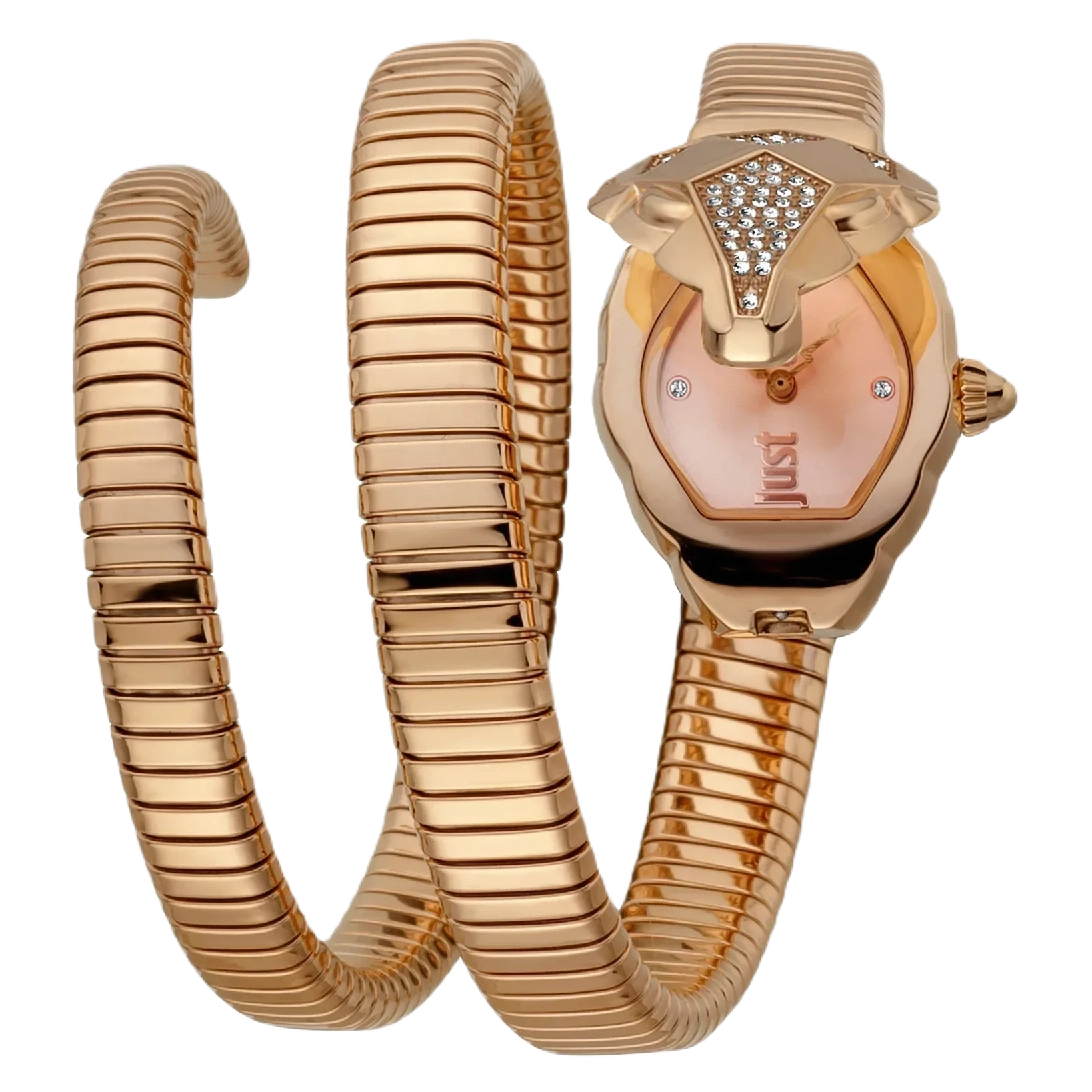 Just Cavalli Women's Watch JC1L073M0035