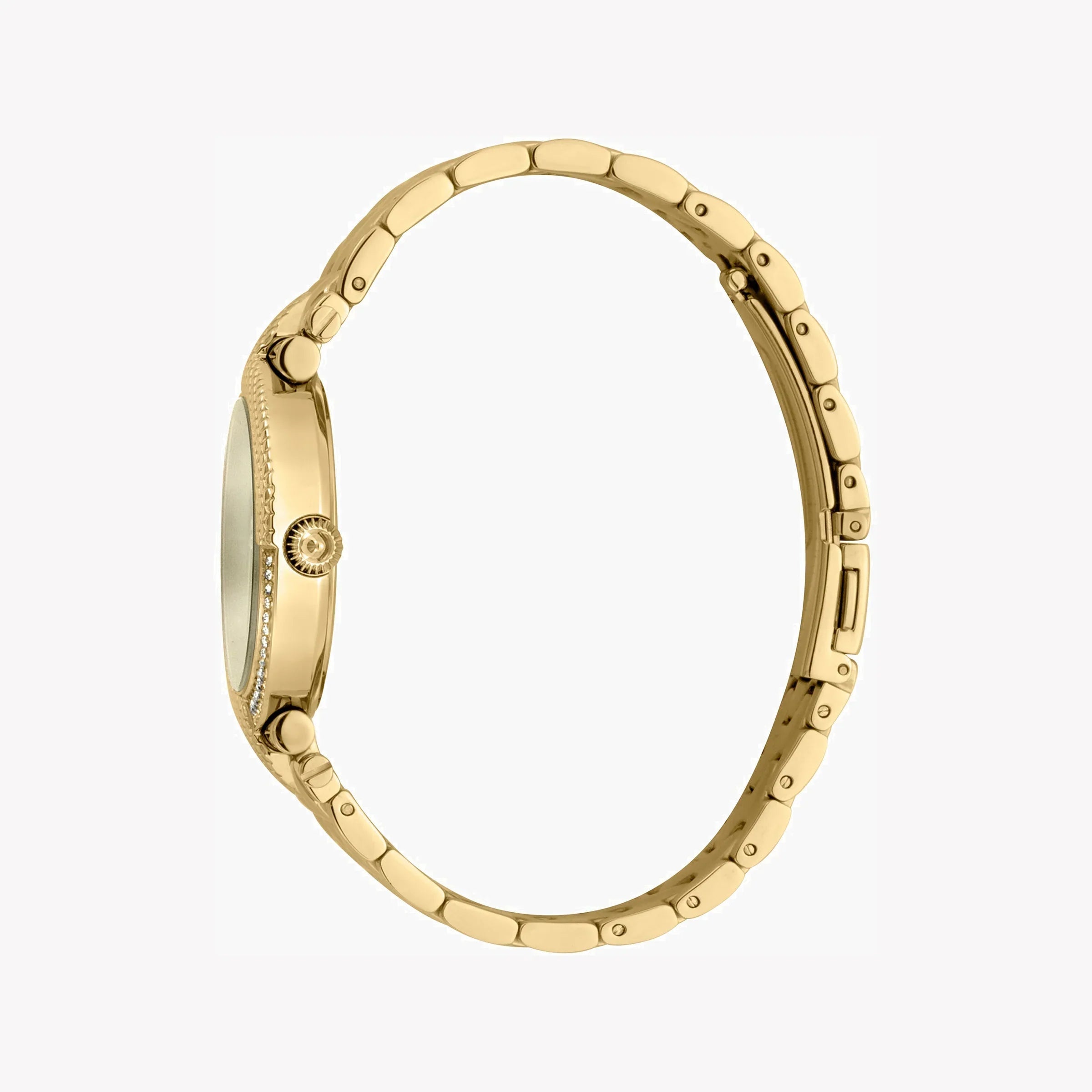 Just Cavalli Women's Watch JC1L105M0075