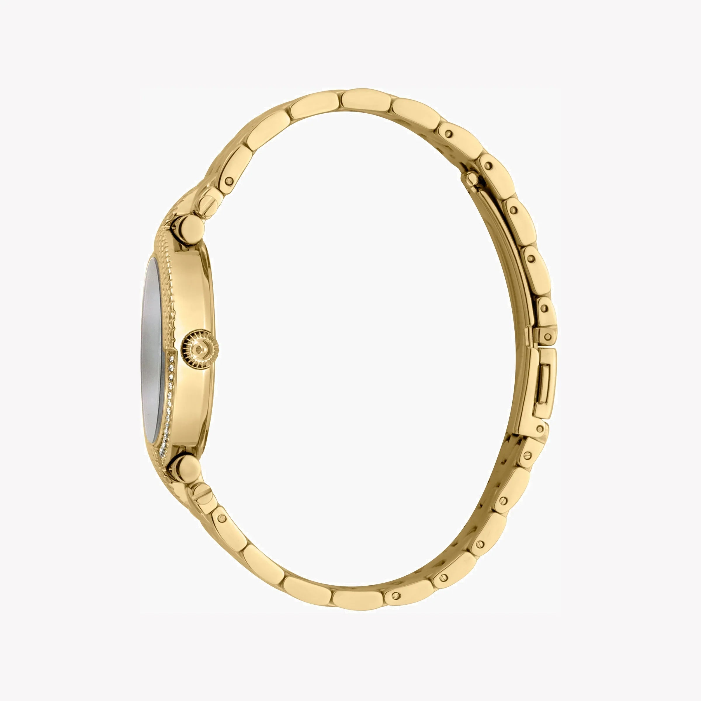 Just Cavalli Women's Watch JC1L105M0085