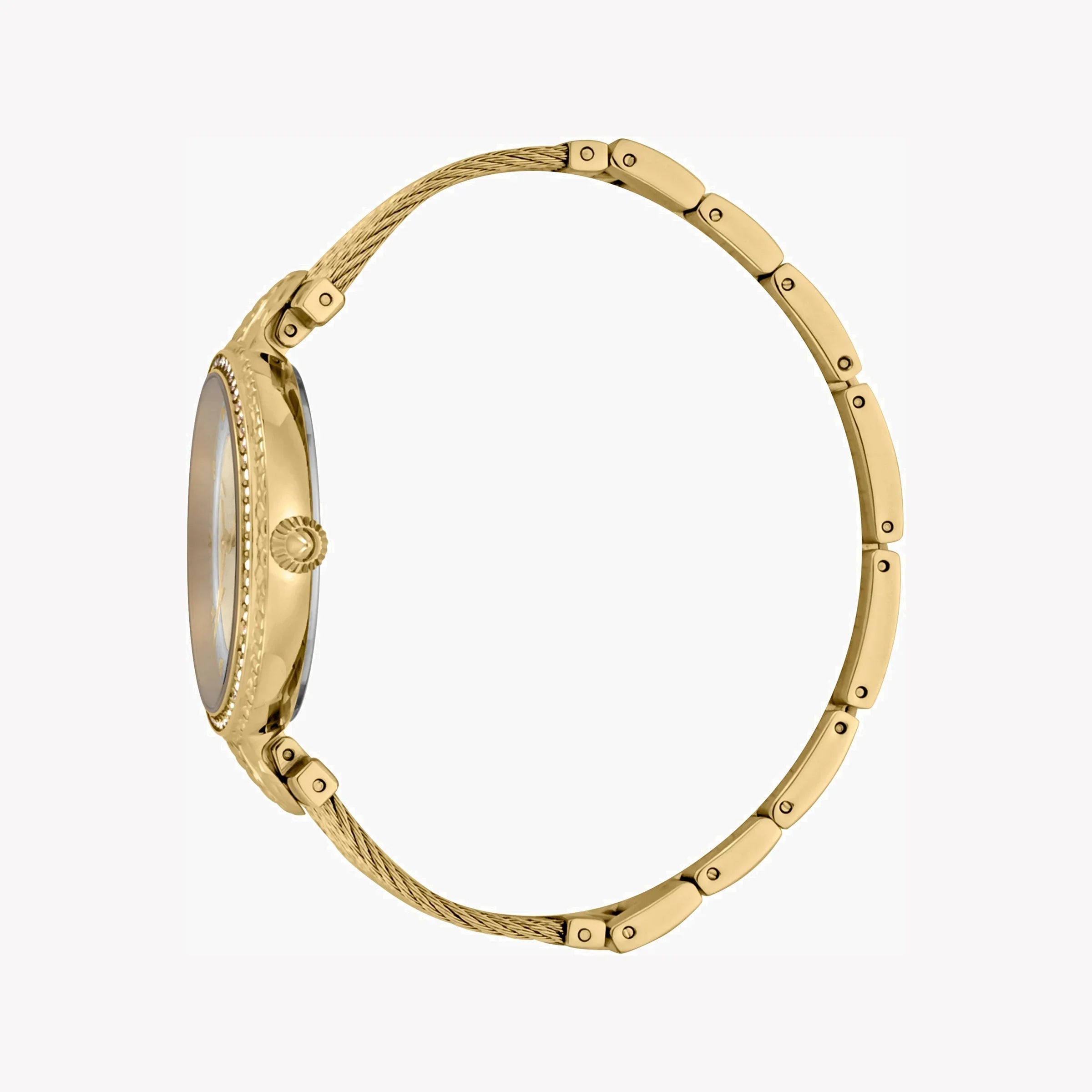 Just Cavalli Women's Watch JC1L169M0025