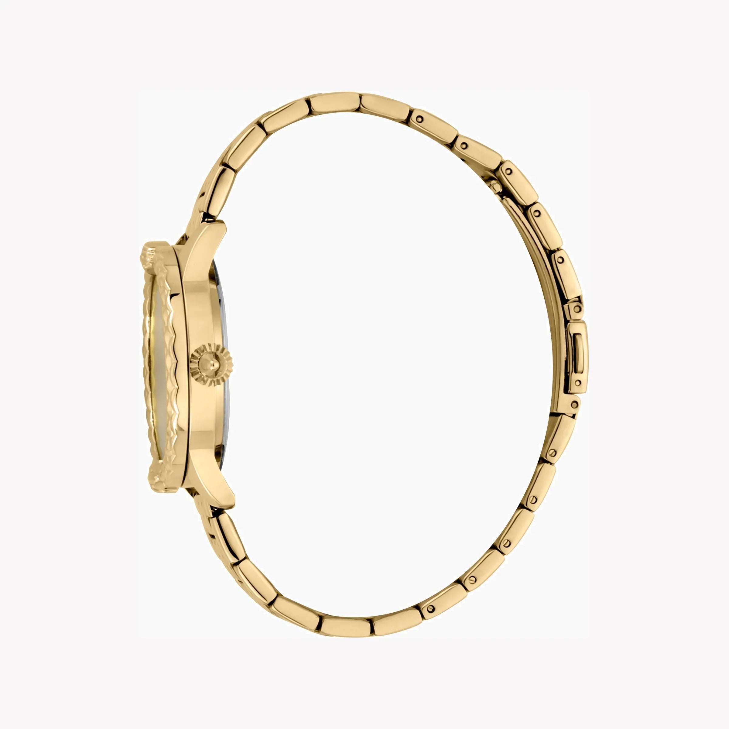Just Cavalli Women's Watch JC1L144M0055