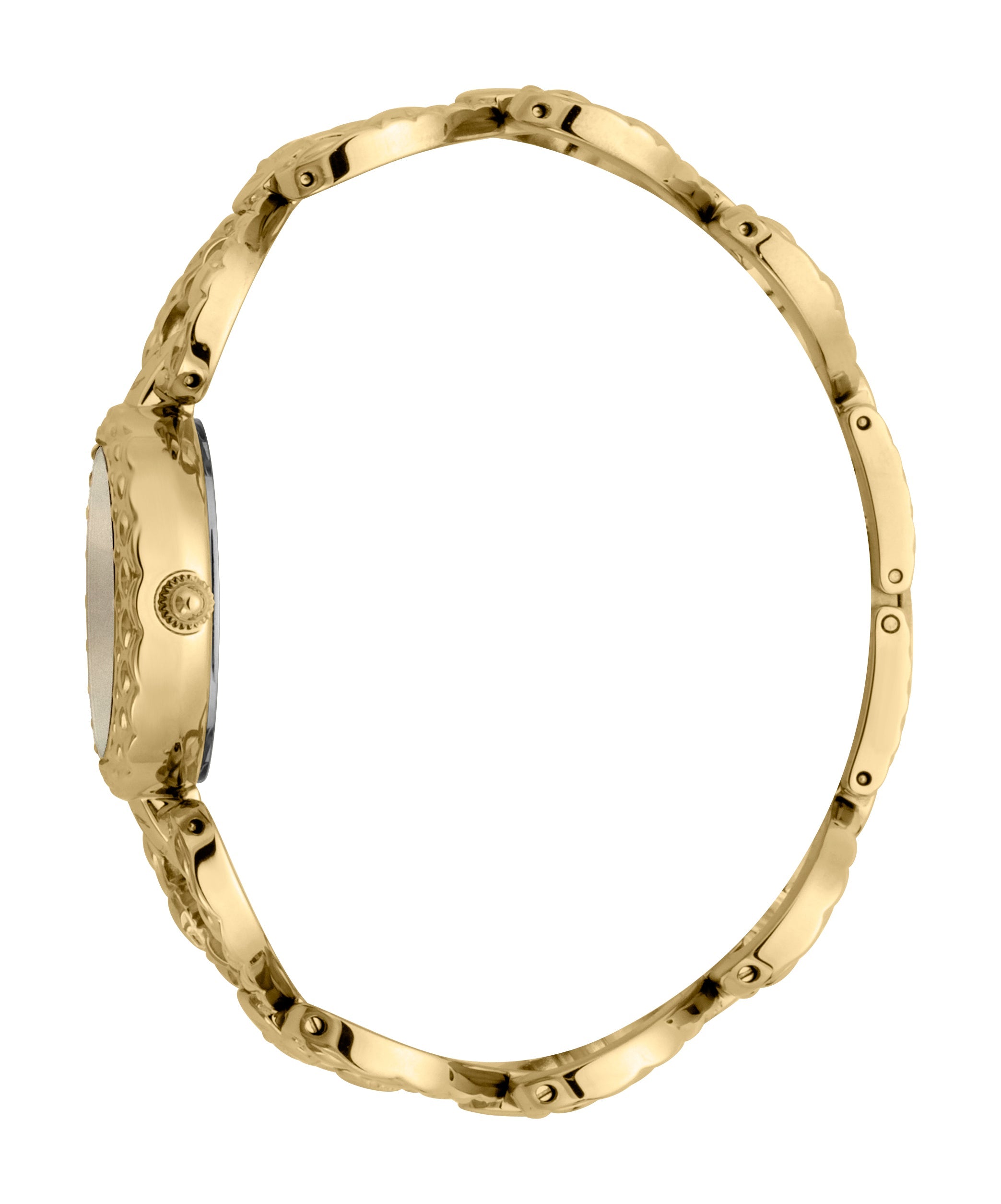 Just Cavalli Women's Watch JC1L132M0075