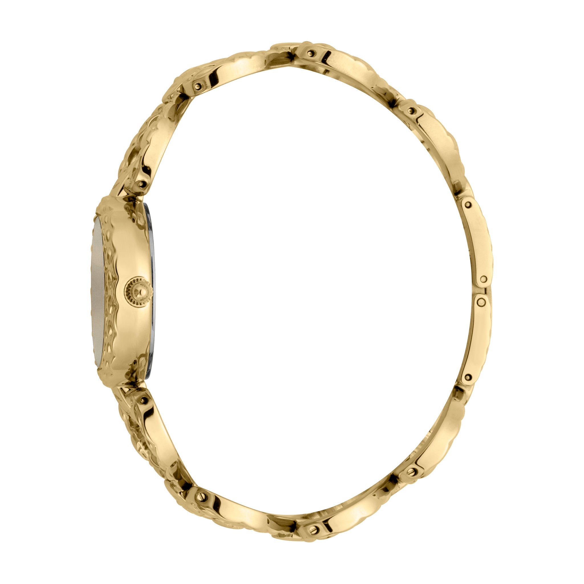 Just Cavalli Women's Watch JC1L132M0025