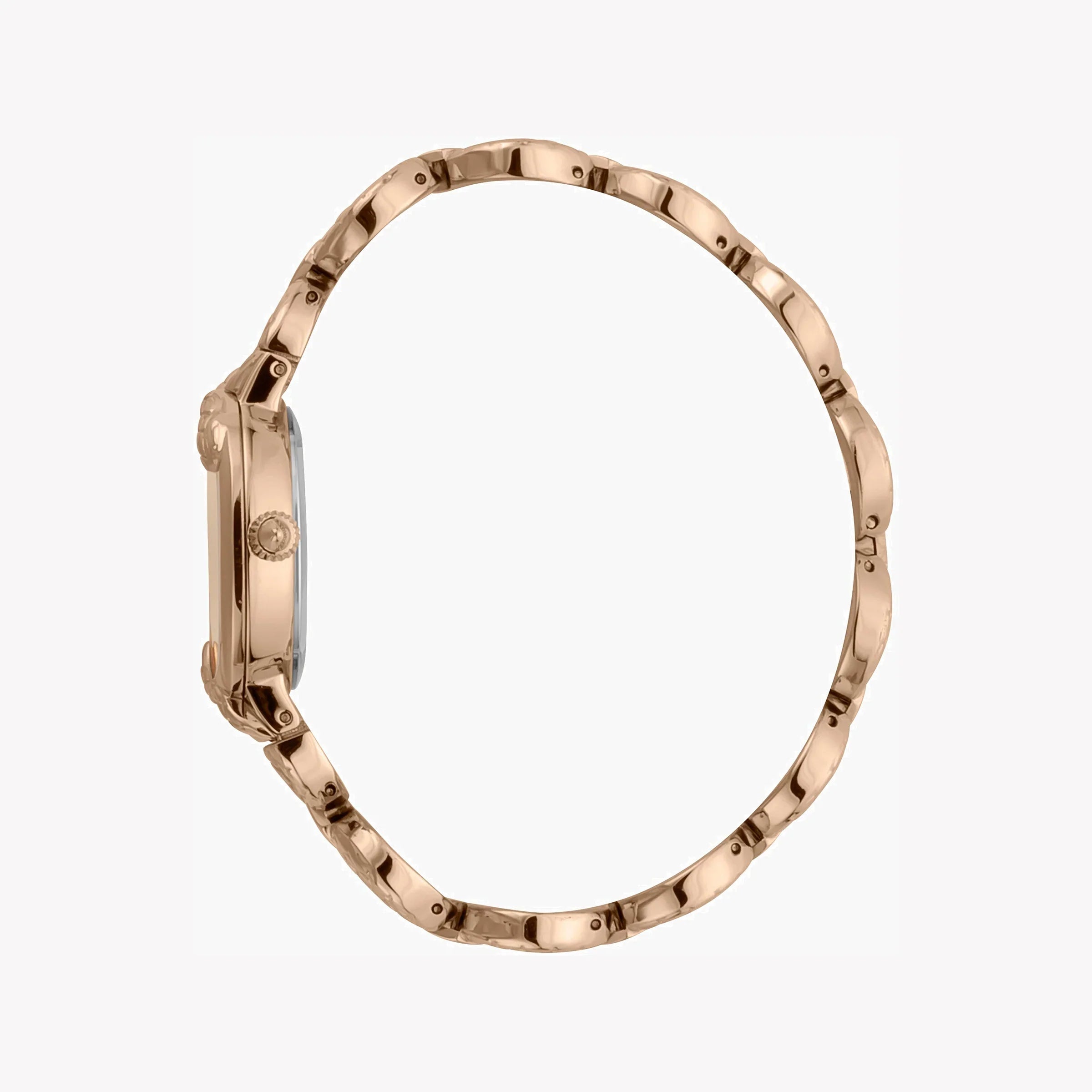 Just Cavalli Women's Watch JC1L206M0045