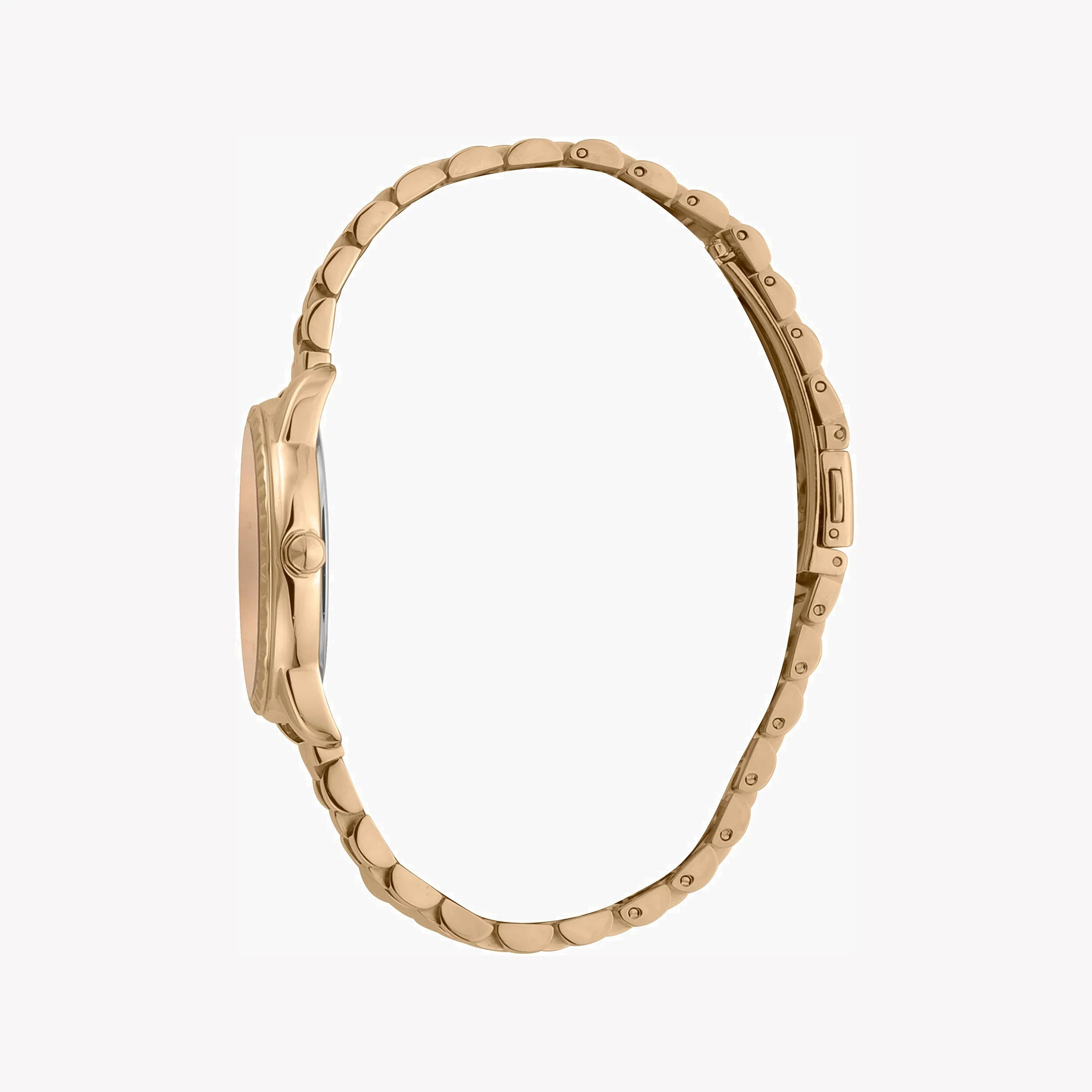 Just Cavalli Women's Watch JC1L176M0075
