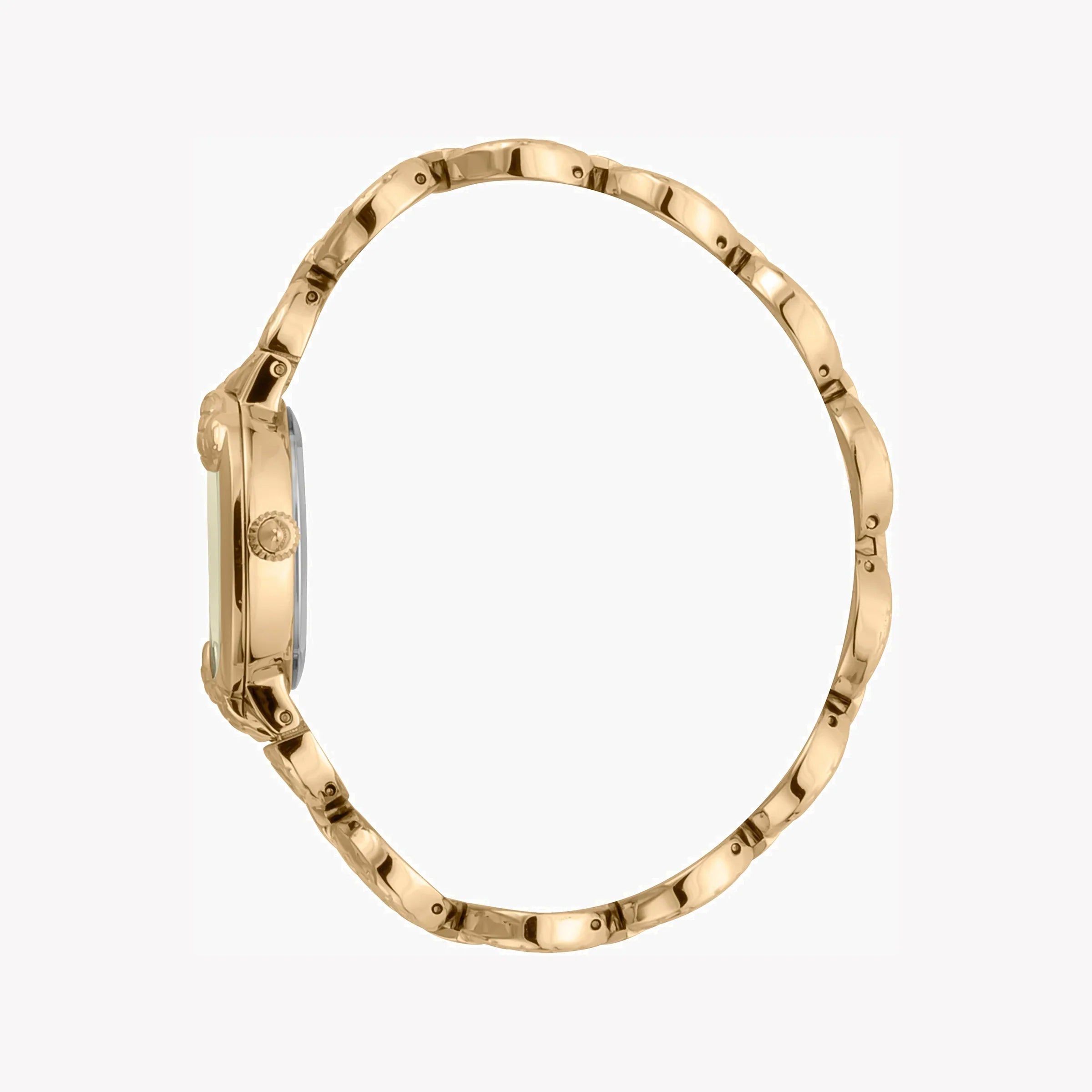 Just Cavalli Women's Watch JC1L206M0025