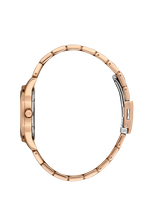 Daniel Klein DK.1.13466-5 Women Watch