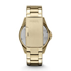FOSSIL RILEY ES3203