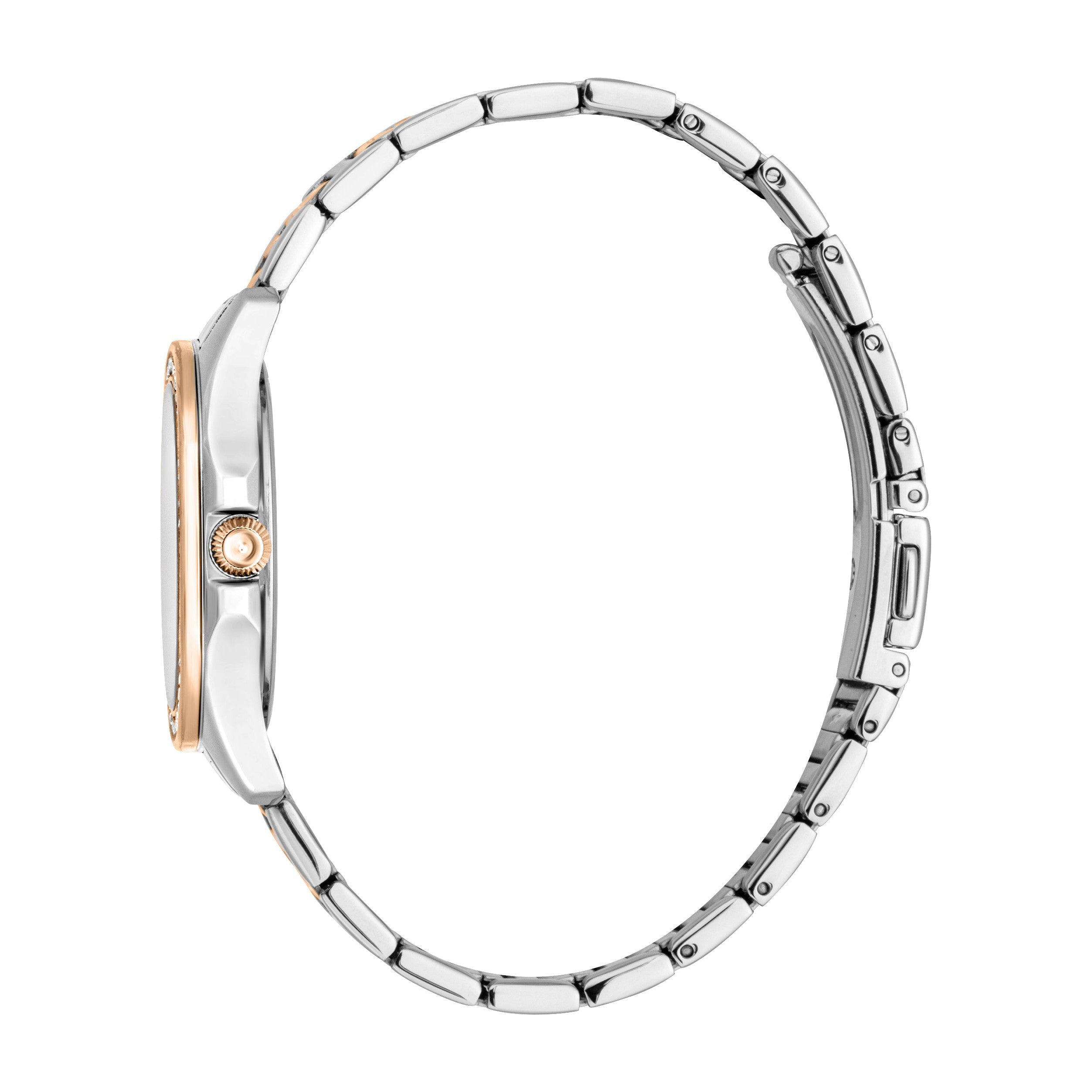 Just Cavalli Women's Watch JC1L263M0095
