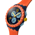 SWATCH SUSI400 Originals Watch