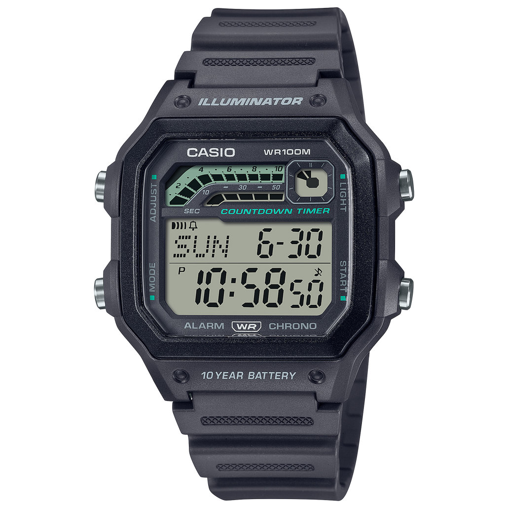 CASIO WS-1600H-8AVDF Men Watch