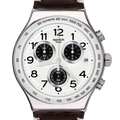 SWATCH YVS432 Destination Hamburg Men's Watch
