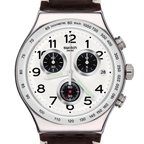 SWATCH YVS432 Destination Hamburg Men's Watch
