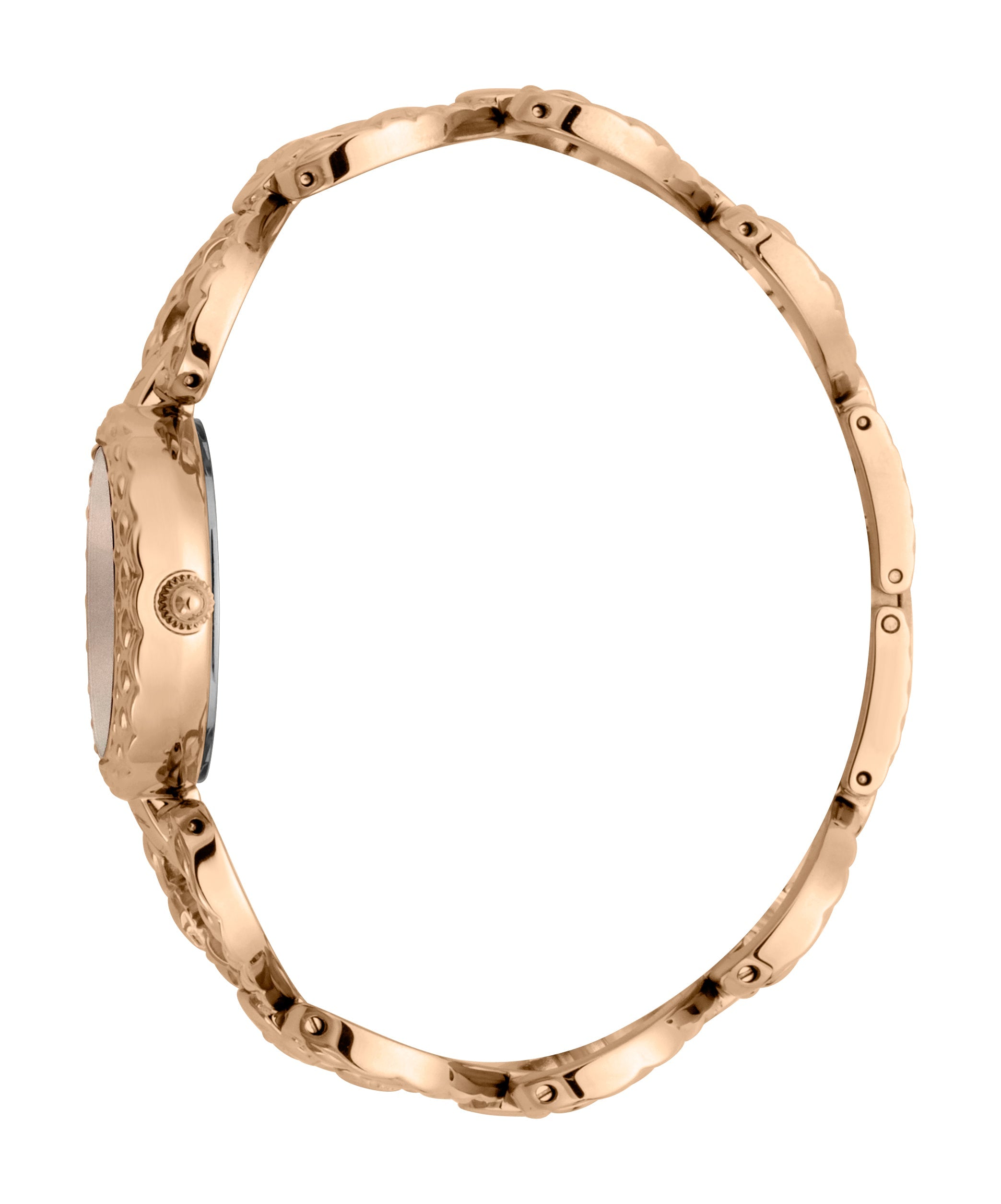 Just Cavalli Women's Watch JC1L132M0085