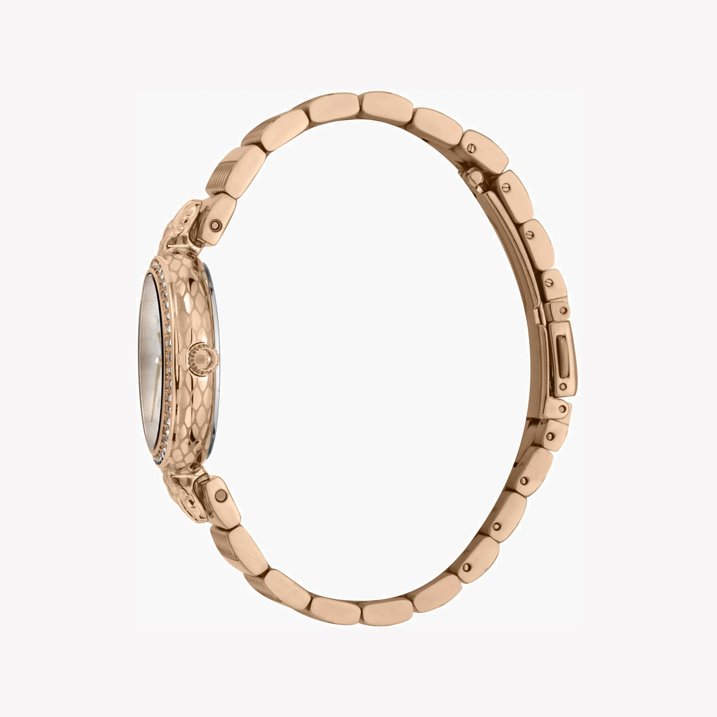 Just Cavalli Women's Watch JC1L147M0075