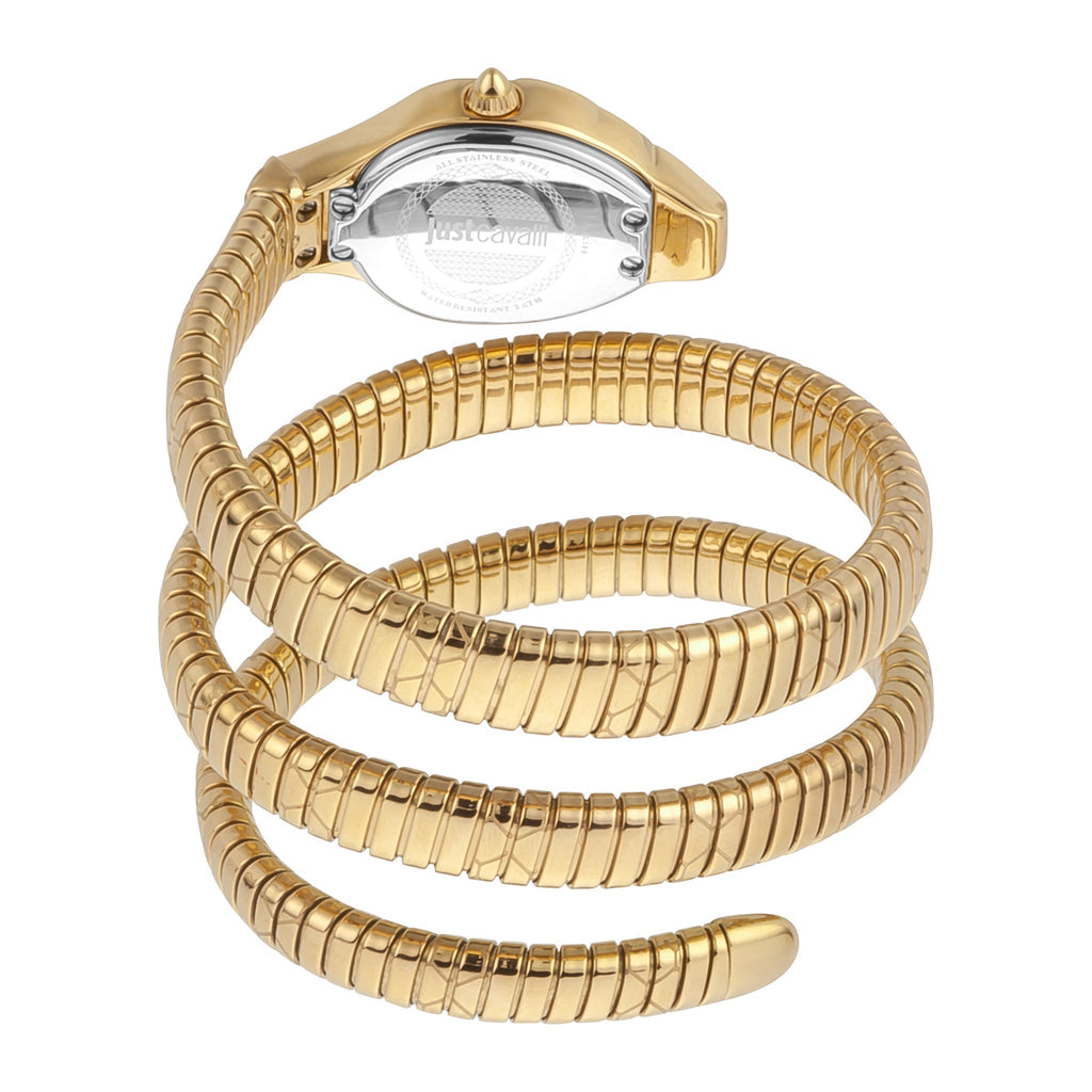 Just Cavalli Women's Watch JC1L189M0035