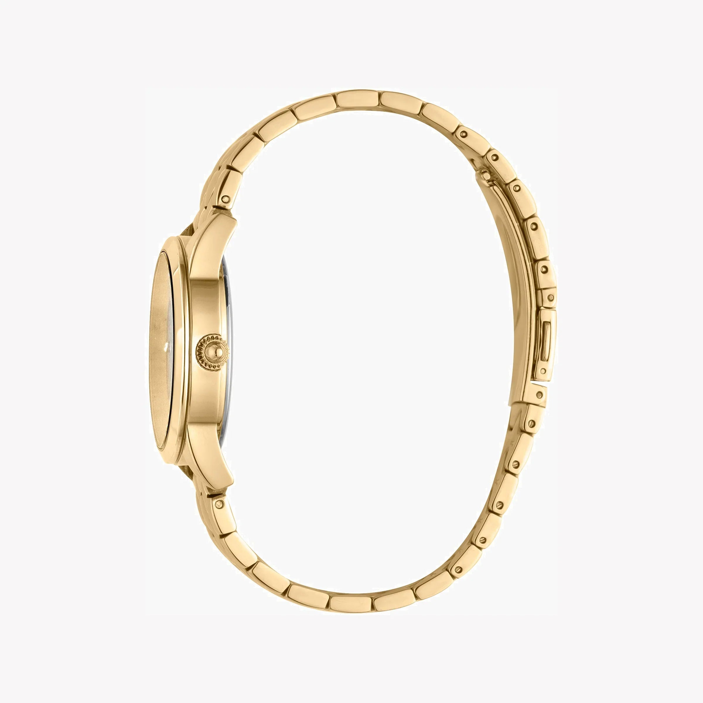 Just Cavalli Women's Watch JC1L087M0055