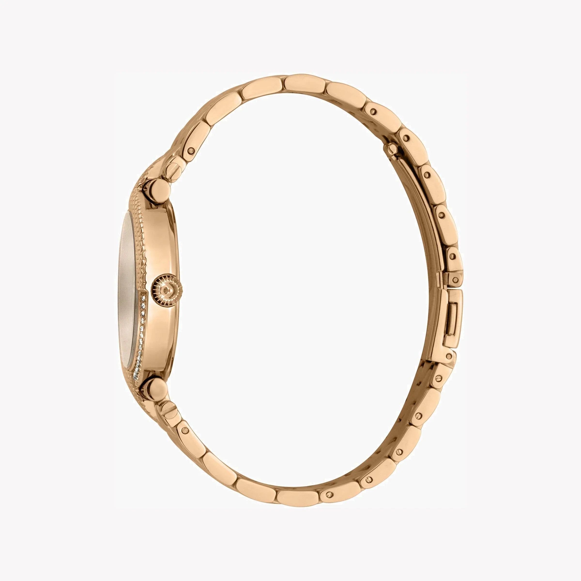 Just Cavalli Women's Watch JC1L105M0095
