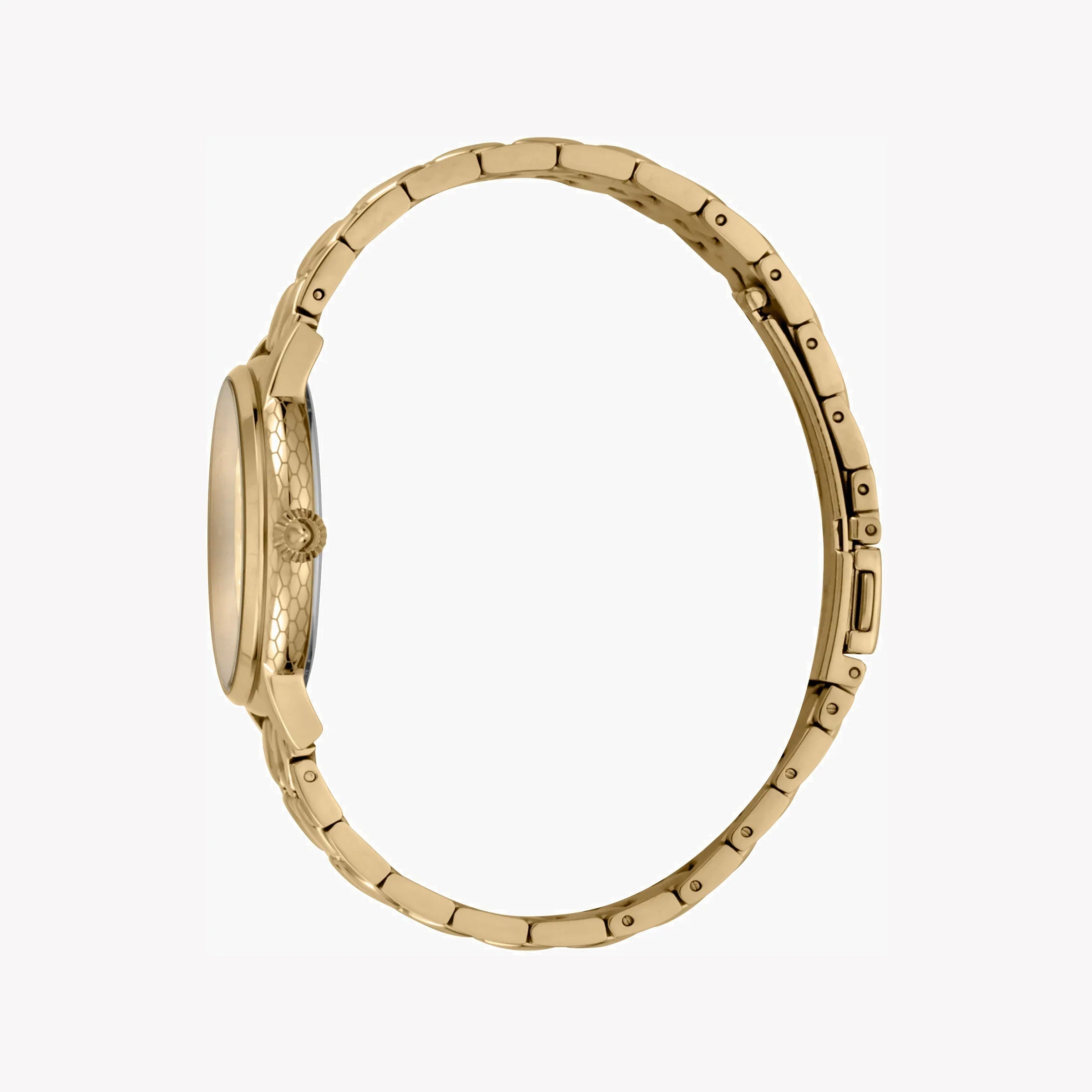 Just Cavalli Women's Watch JC1L149M0045