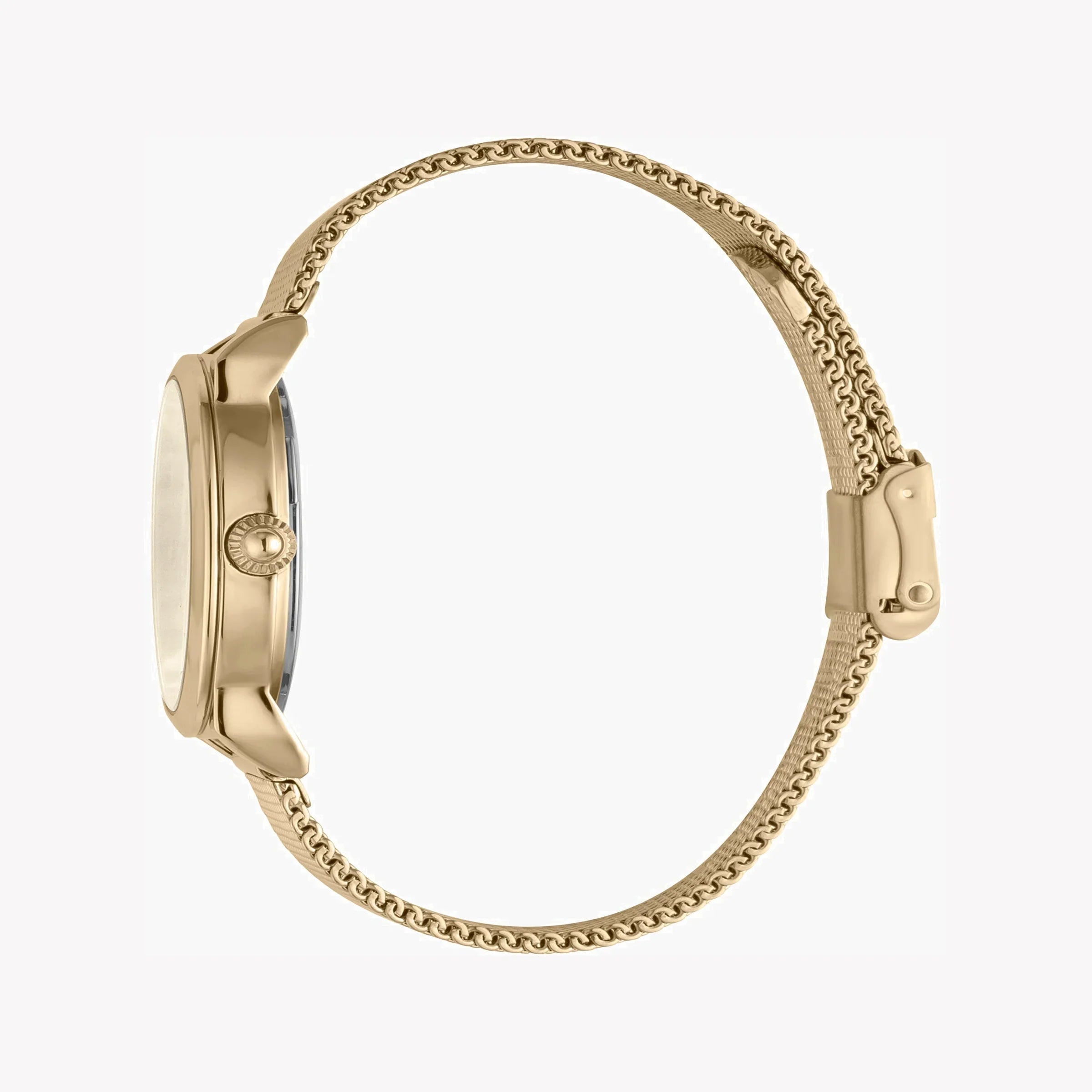 Just Cavalli Women's Watch JC1L079M0055