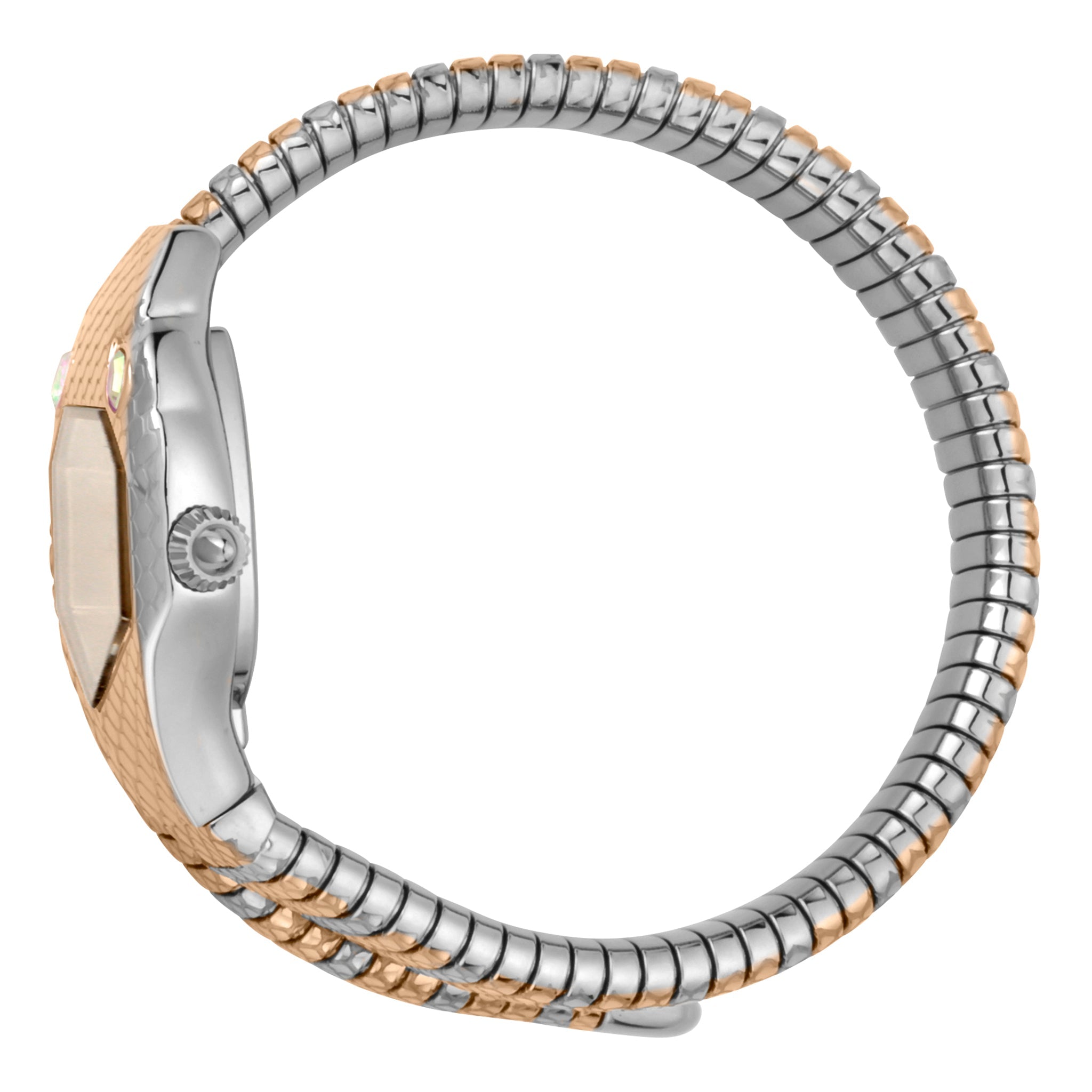 Just Cavalli Women's Watch JC1L177M0065