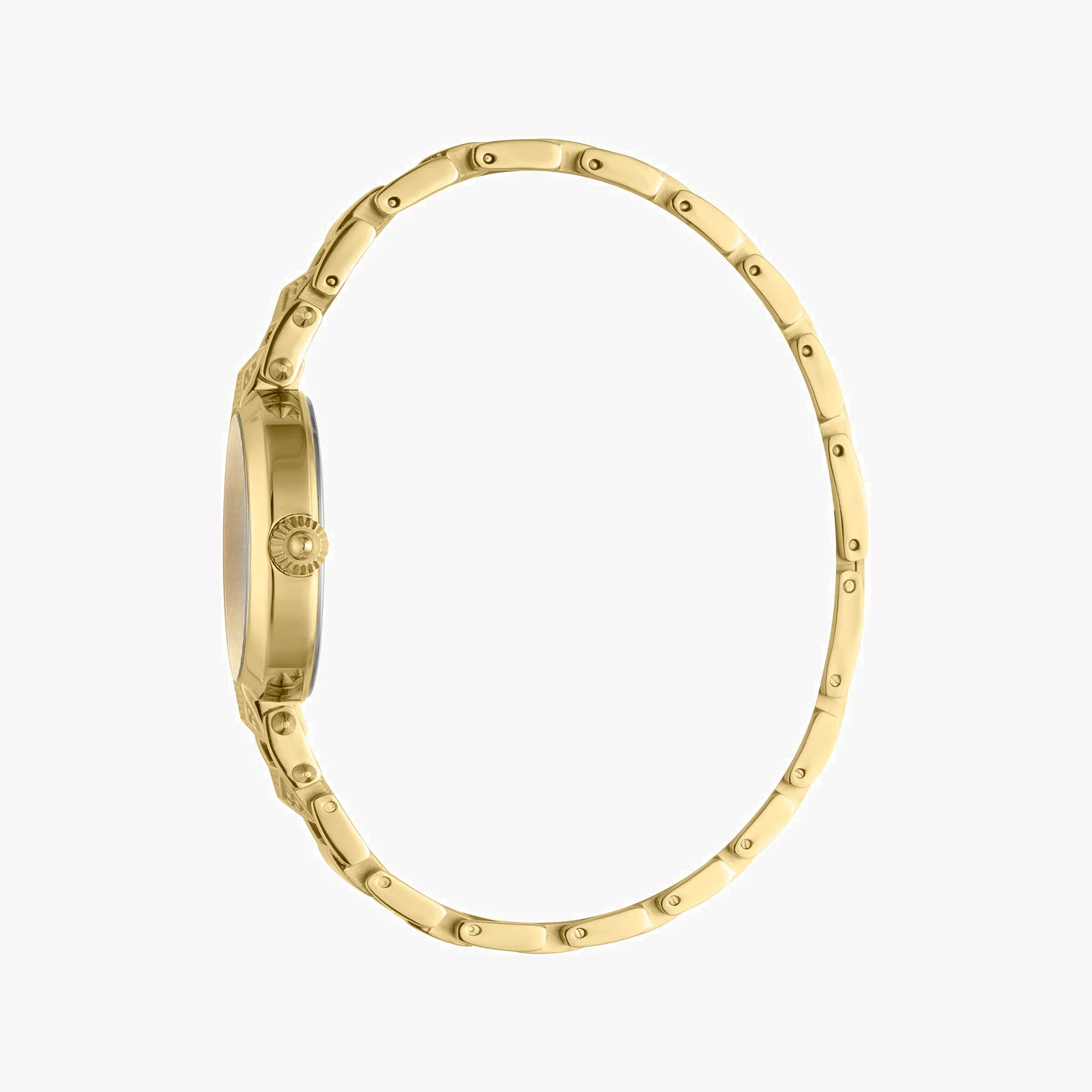Just Cavalli Women's Watch JC1L076M0135