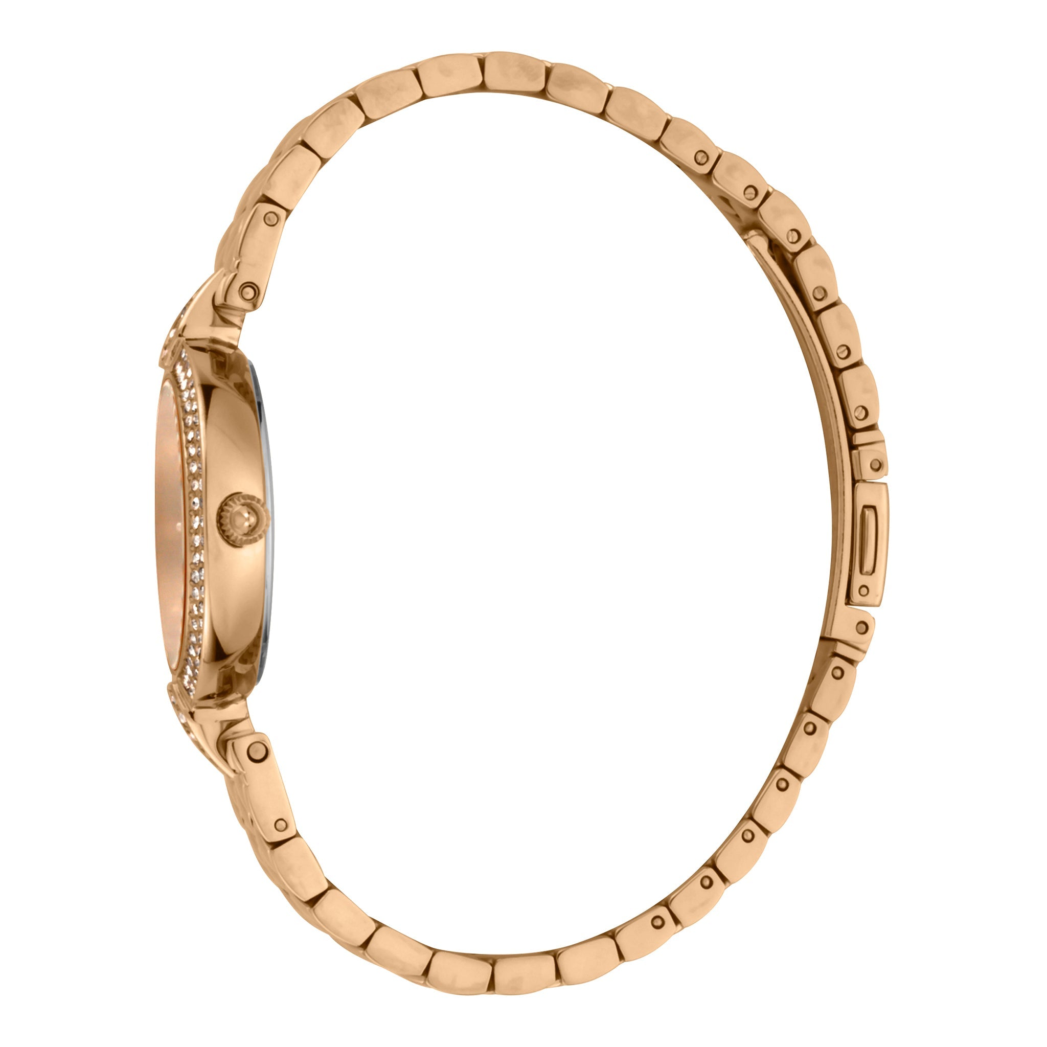 Just Cavalli Women's Watch JC1L159M0075