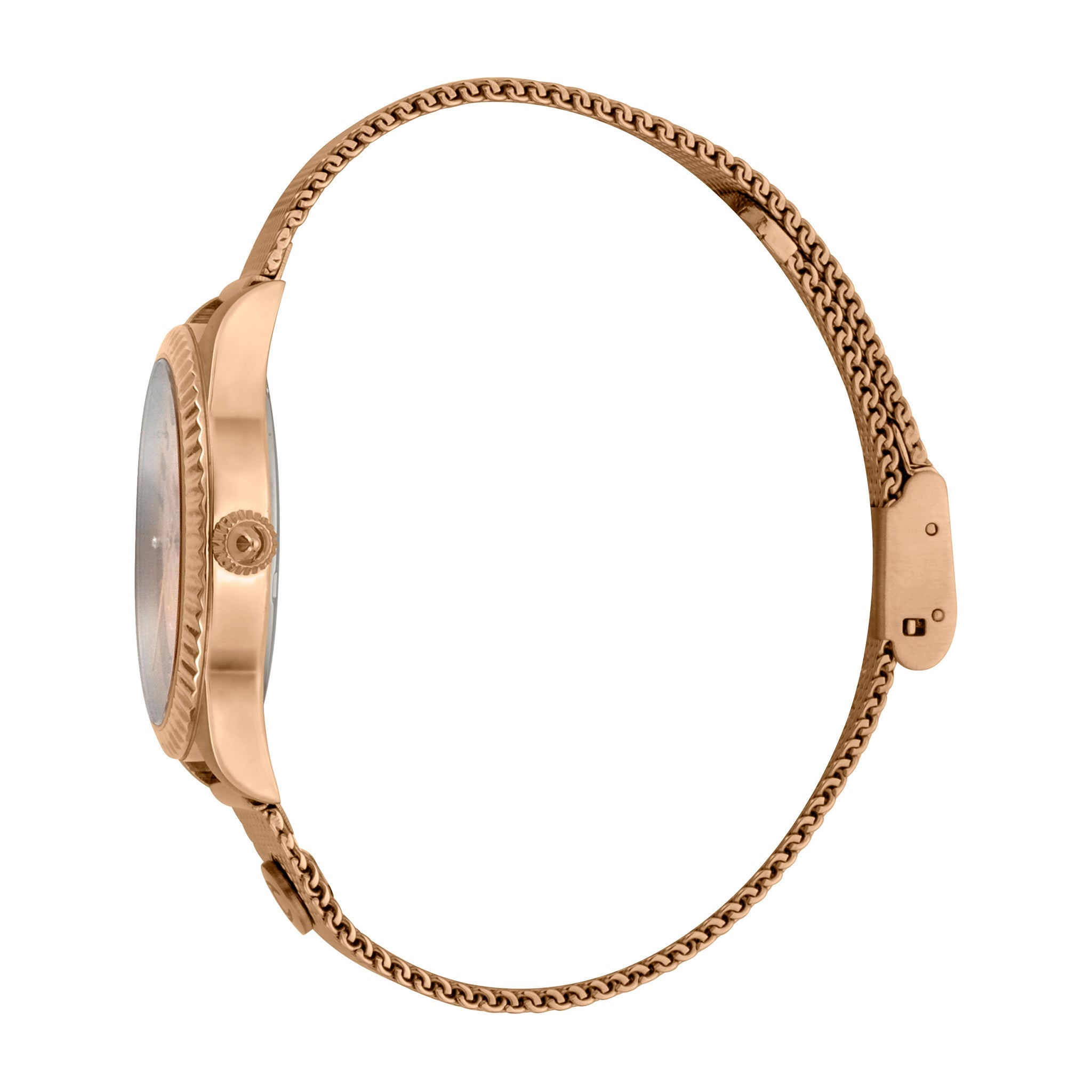 Just Cavalli Women's Watch JC1L133M0075