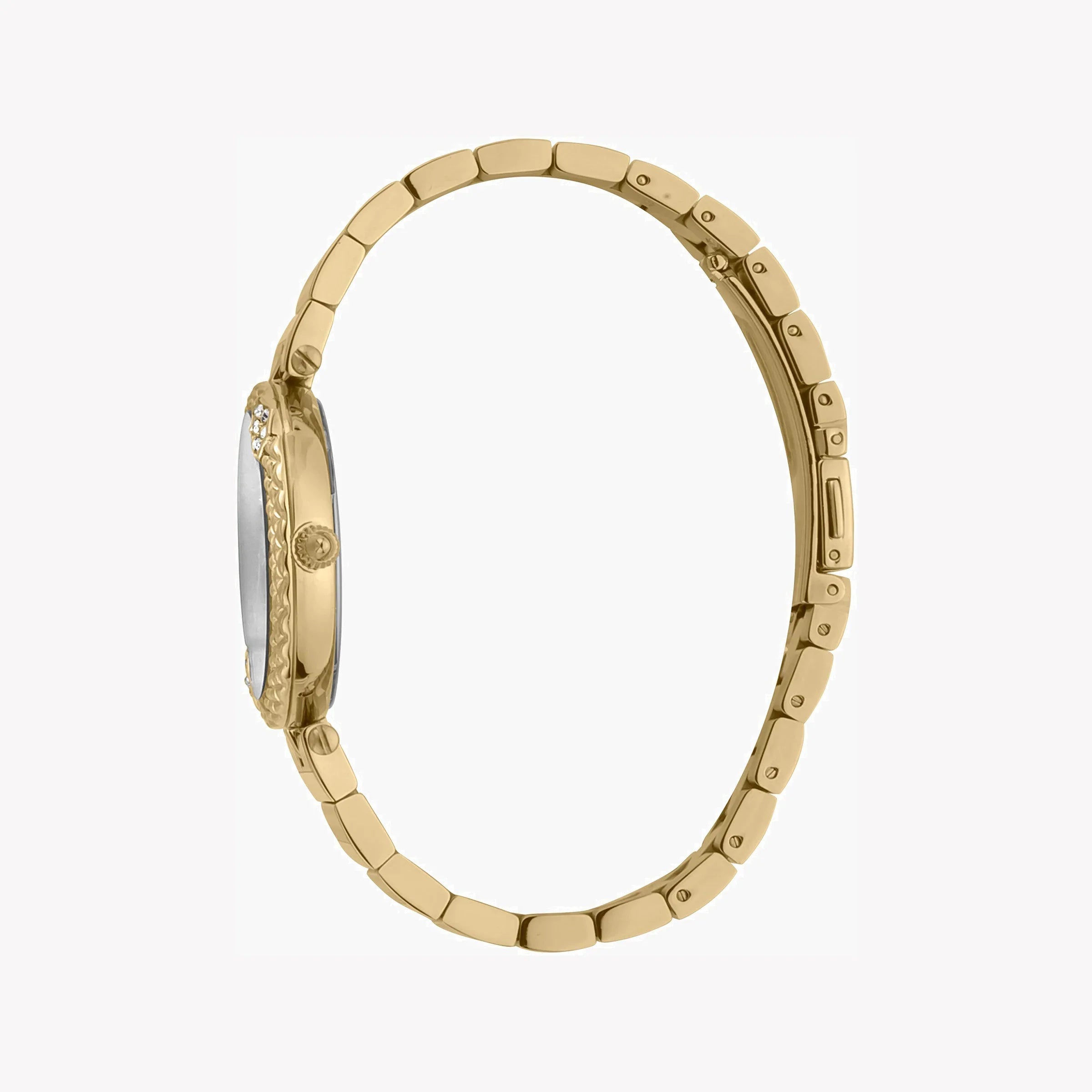 Just Cavalli Women's Watch JC1L197M0065