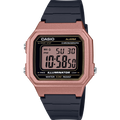 CASIO W-217HM-5AVDF Men Watch