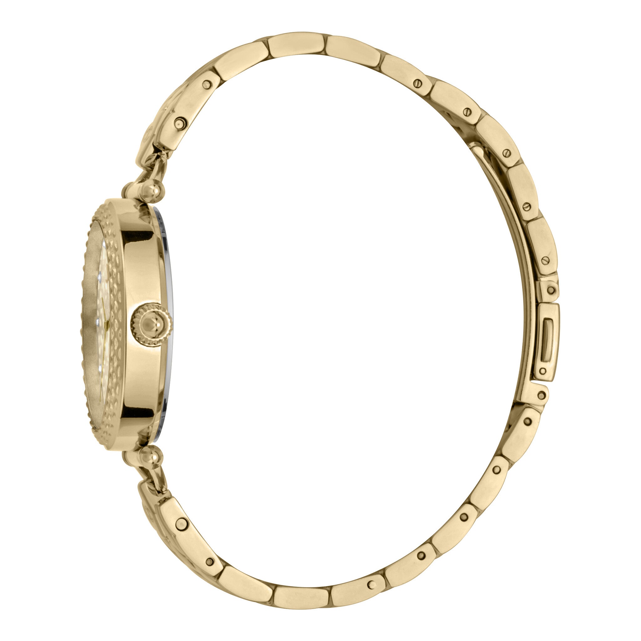 Just Cavalli Women's Watch JC1L160M0065