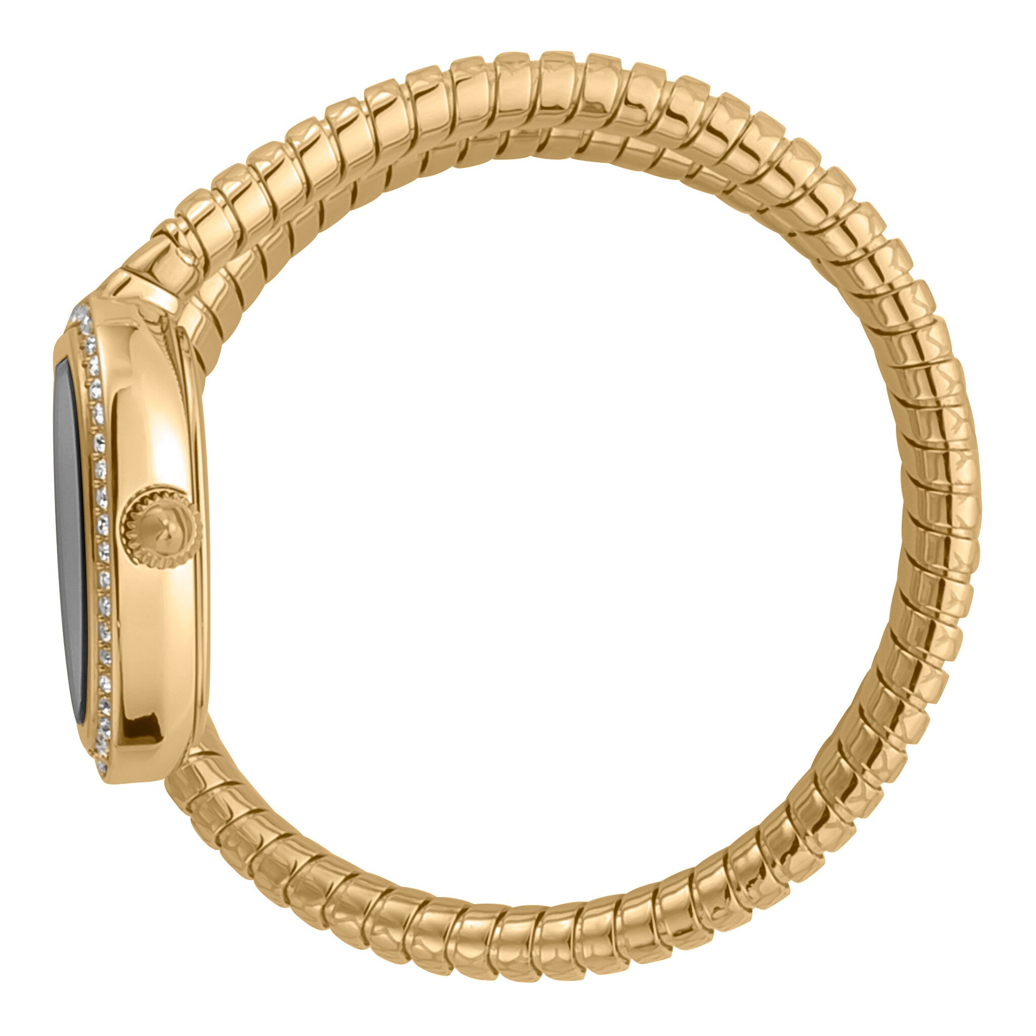 Just Cavalli Women's Watch JC1L167M0035