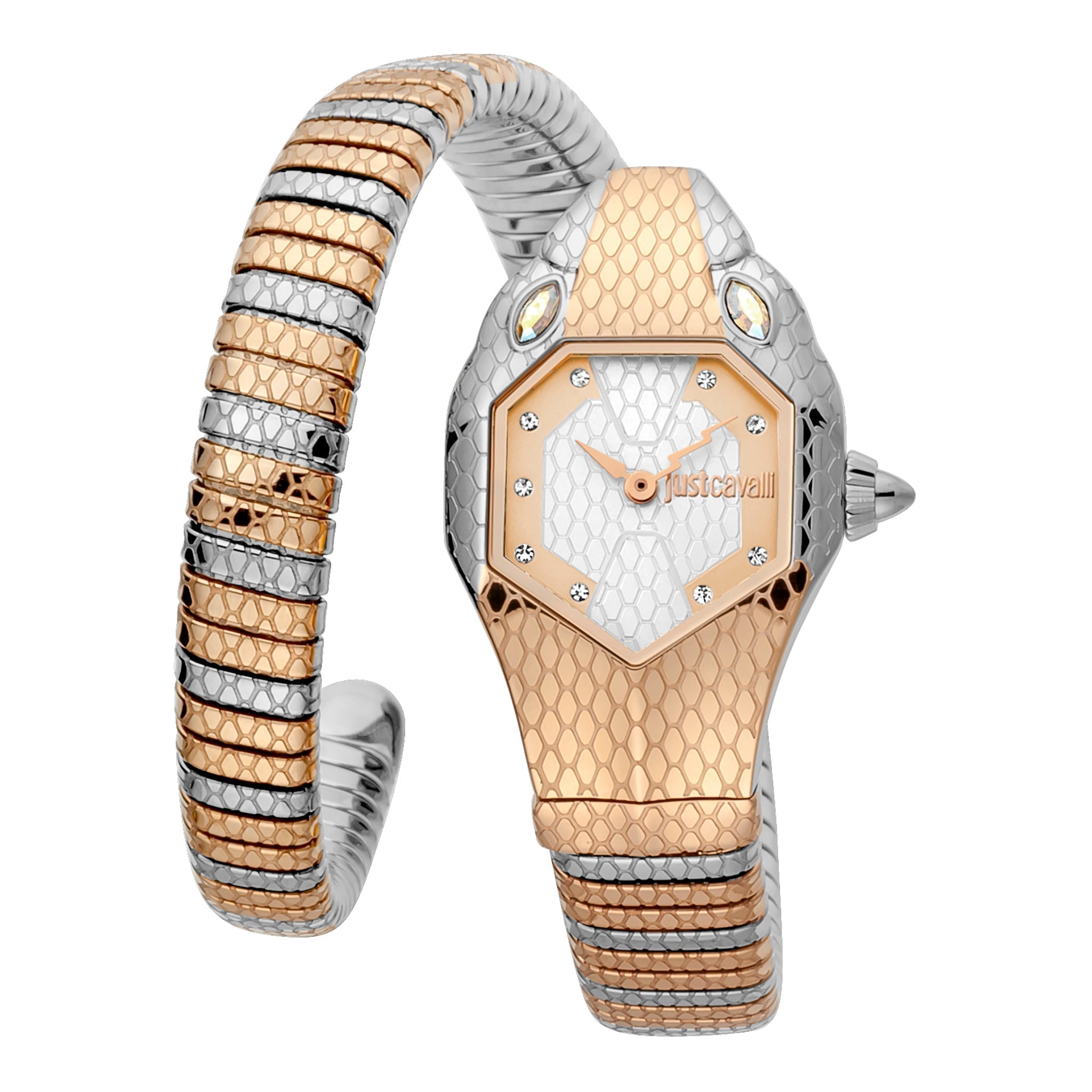 Just Cavalli Women's Watch JC1L177M0065