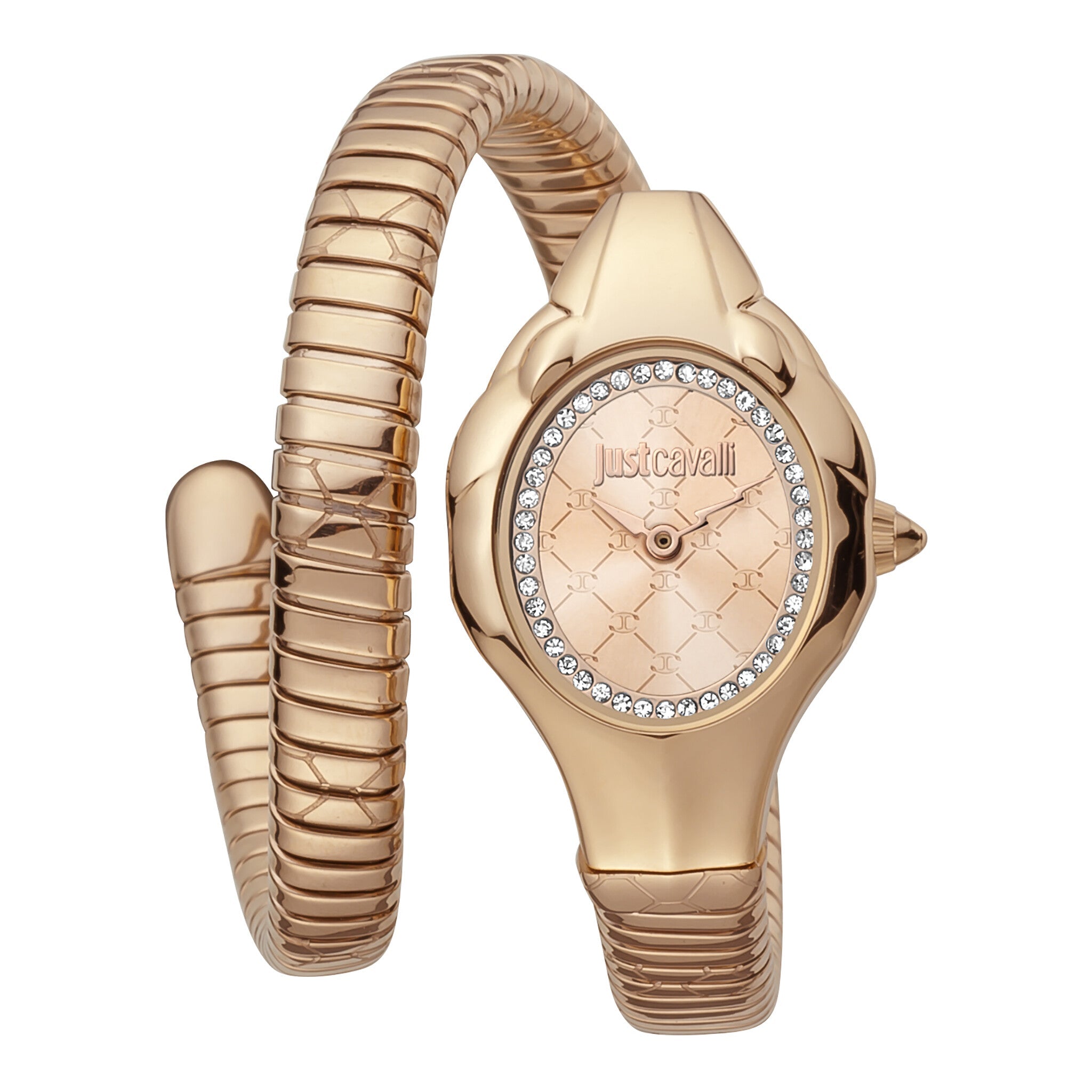Just Cavalli Women's Watch JC1L186M0045