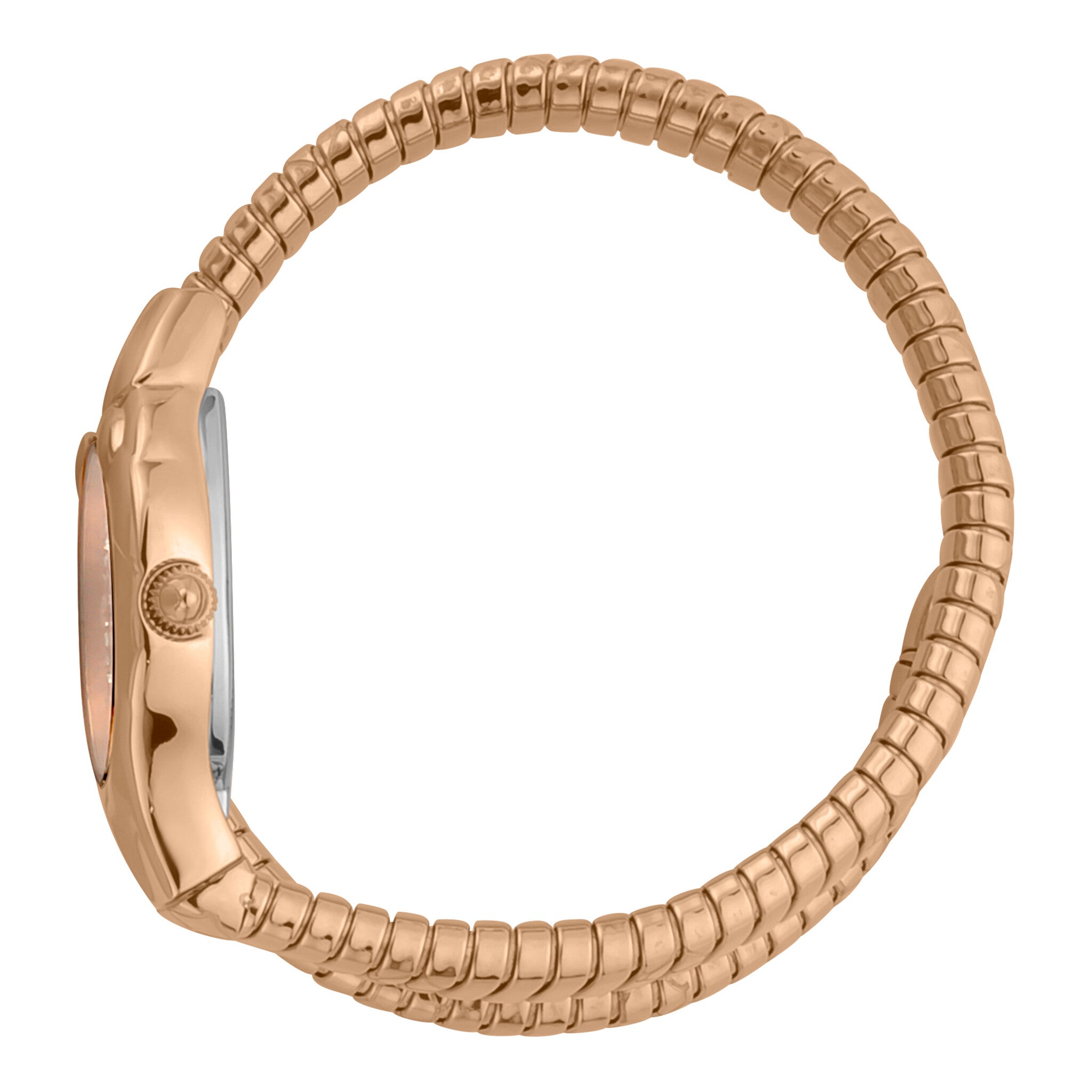 Just Cavalli Women's Watch JC1L186M0045