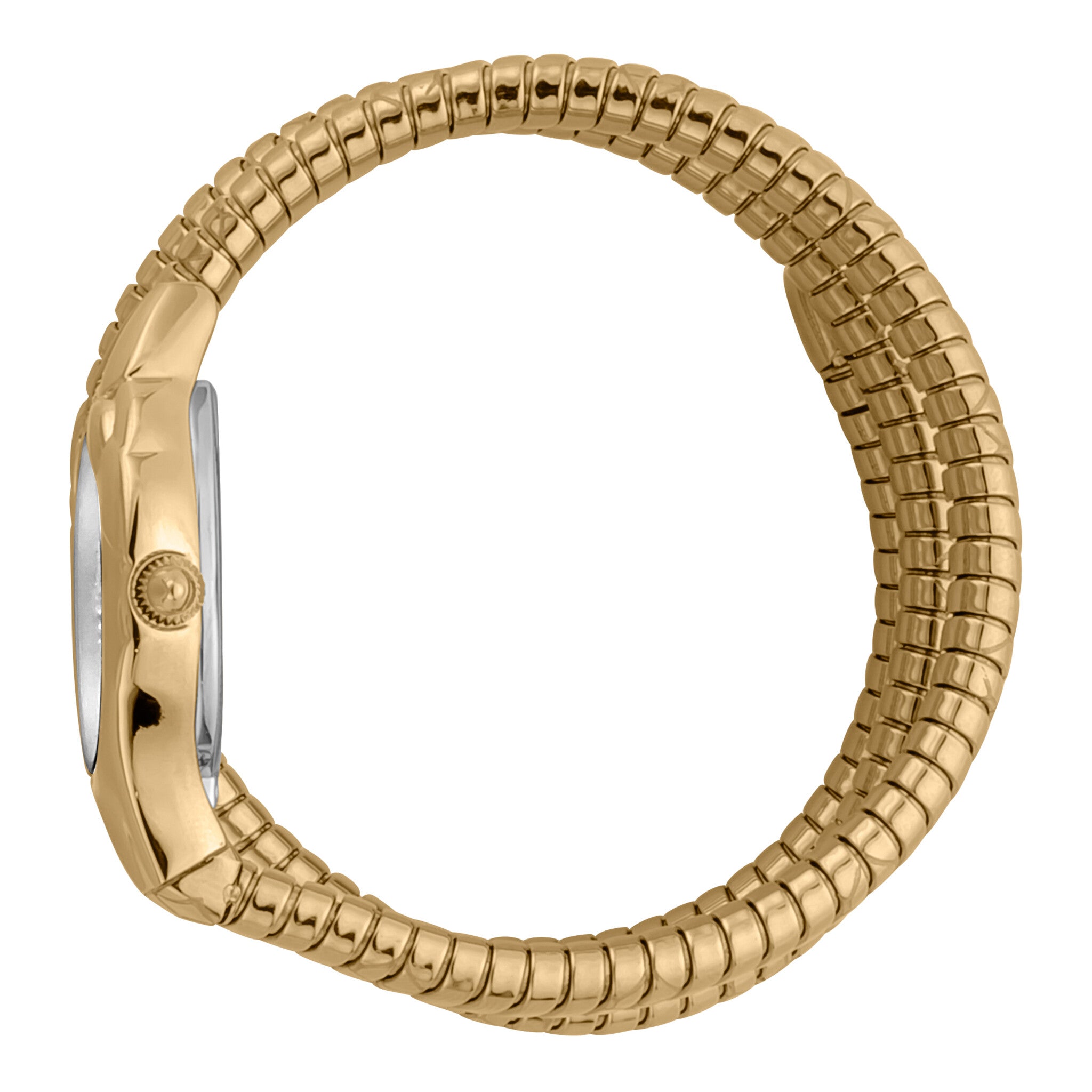 Just Cavalli Women's Watch JC1L189M0035